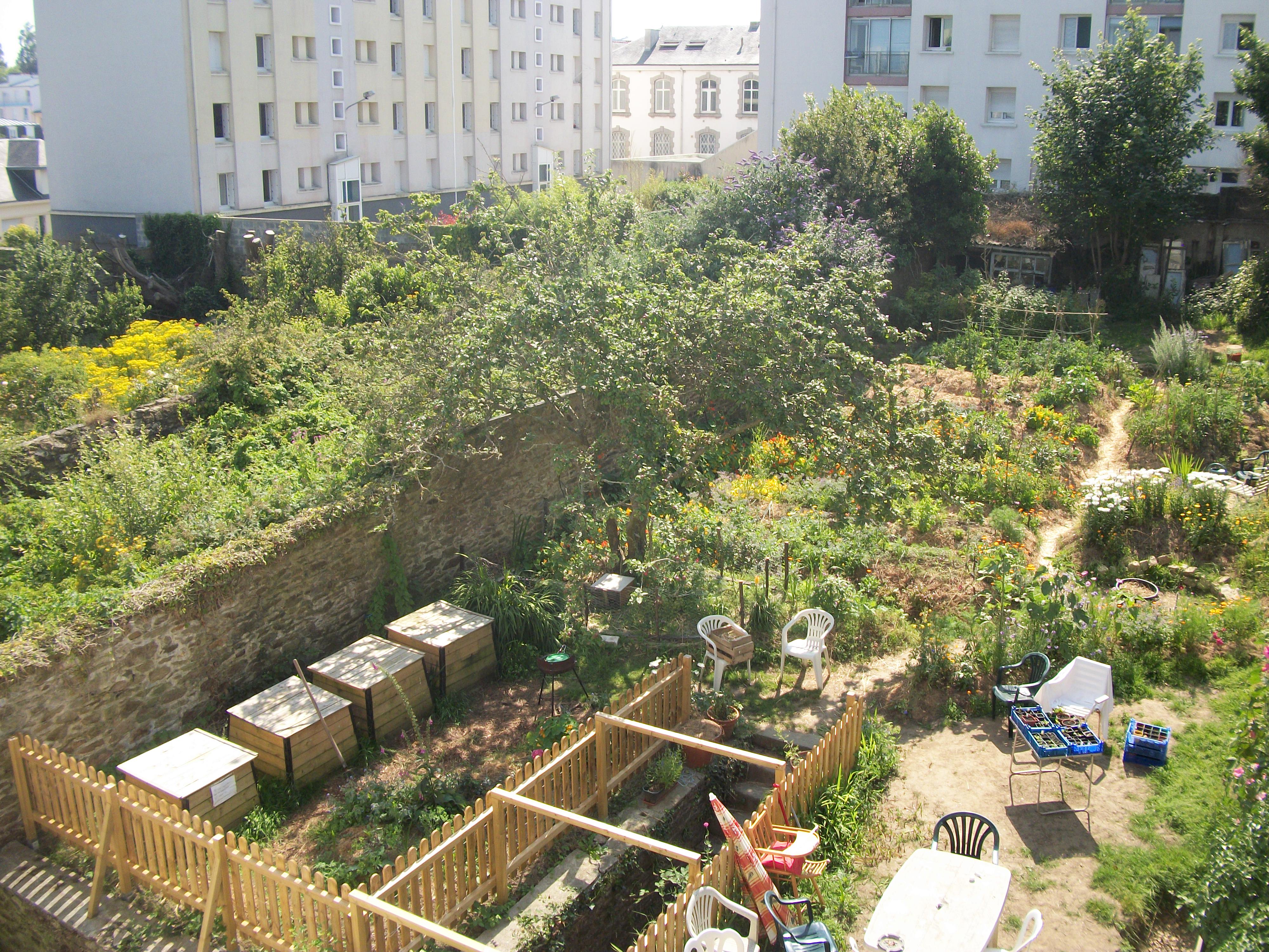Le jardin en juillet 2013 !