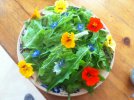 Salade fleurie